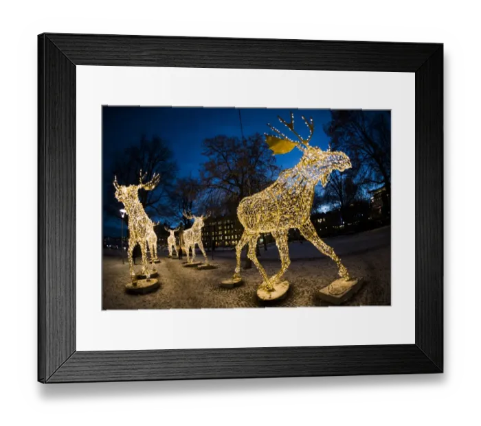 Framed Print : Sweden-Tradition-Christmas Framed Print : Sweden-Tradition-Christmas