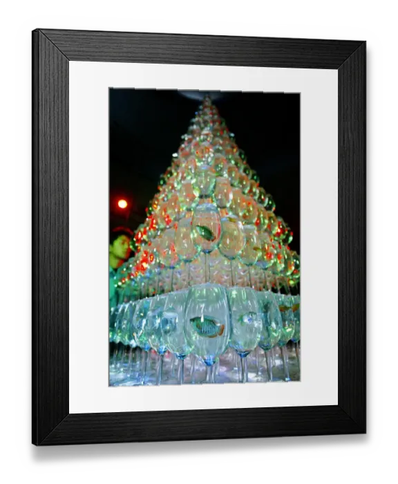 Framed Print : Japan-Aquarium-Xmas Framed Print : Japan-Aquarium-Xmas
