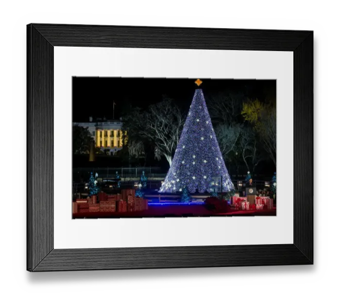 Framed Print : Us-Politics-Holiday-Christmas-Tree-Obama