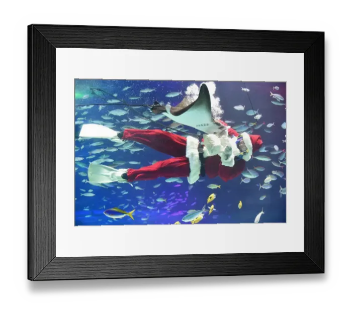 Framed Print : Japan-Christmas-Aquarium