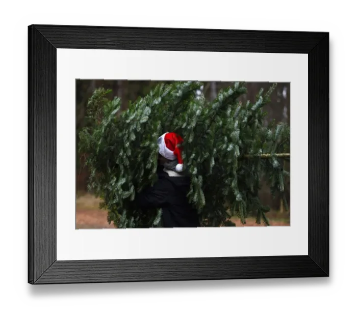 Framed Print : Germany-Bavaria-Christmas-Tree-Feature Framed Print : Germany-Bavaria-Christmas-Tree-Feature