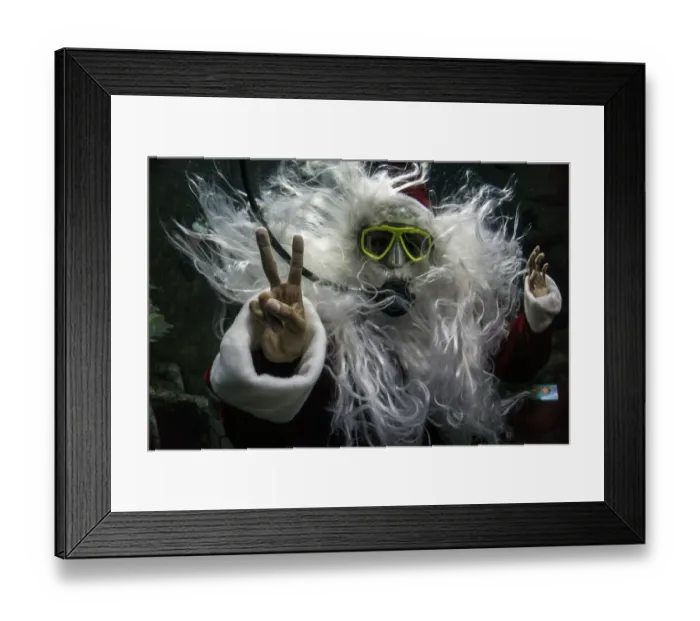 Framed Print : Mexico-Christmas-Aquarium