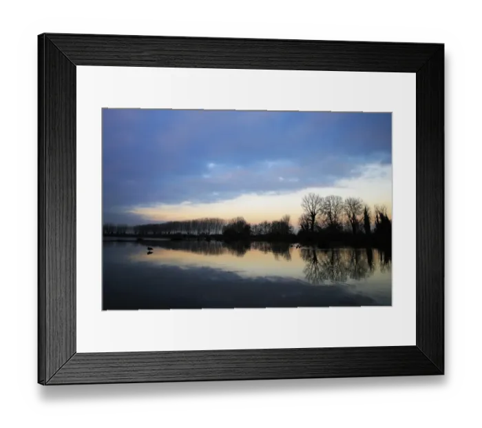 Framed Print : Italy-Nature-Animal-Birds