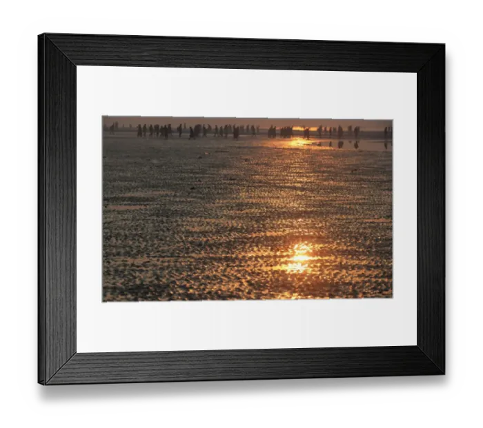 Framed Print : India-Religion-Hinduism-Gangasagar Framed Print : India-Religion-Hinduism-Gangasagar