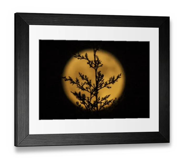 Framed Print : Spain-Science-Astronomy-Supermoon