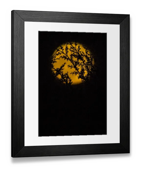 Framed Print : Spain-Science-Astronomy-Supermoon