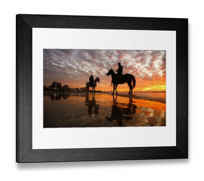 Framed Print : Gaza-Horses-Sunset