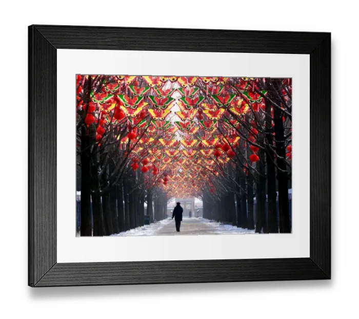 Framed Print : China-New Year-Decorations-Butterflies Framed Print : China-New Year-Decorations-Butterflies