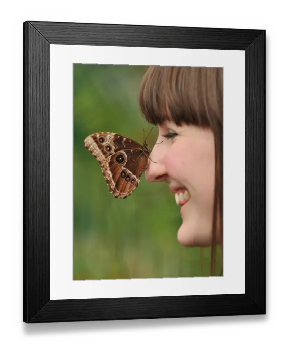 Framed Print : Britain-Env-Nature-Butterflies