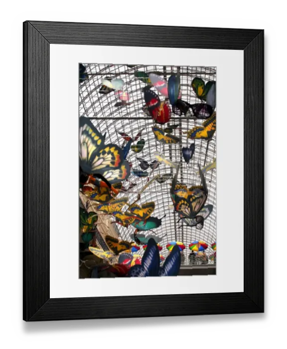 Framed Print : Russia-Roof-Butterflies