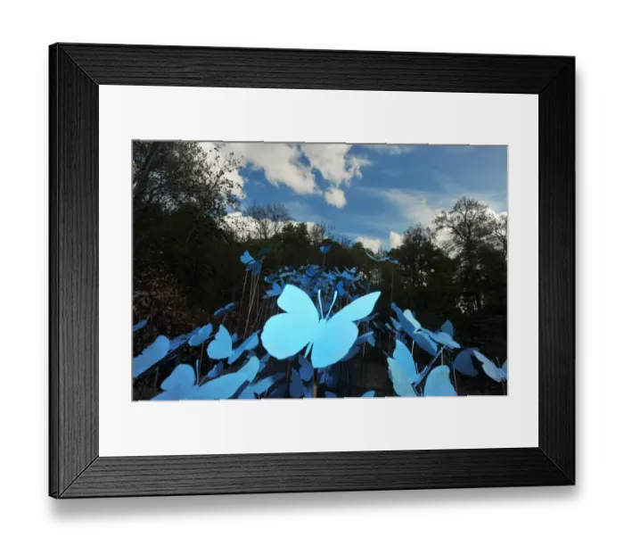 Framed Print : France-Art-Butterflies