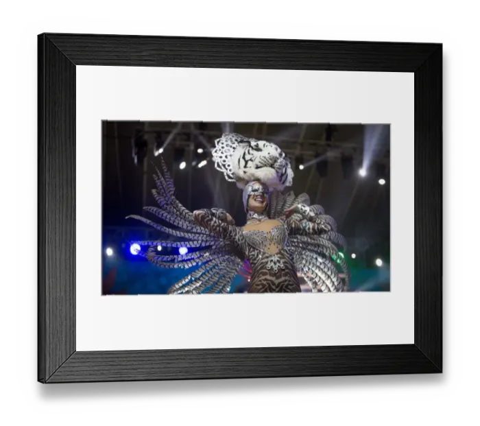 Framed Print : Spain-Festival-Carnival-Santa Cruz