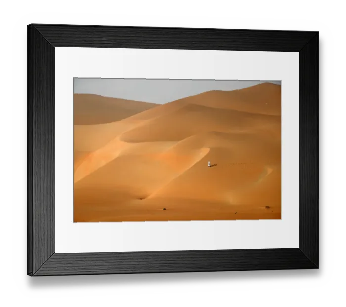 Framed Print : Uae-Camel-Desert-Nature-Tourism