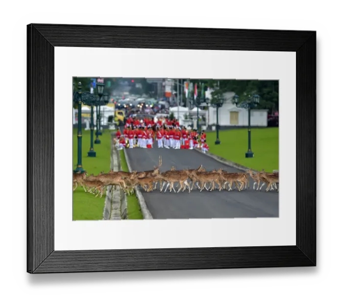 Framed Print : Indonesia-Saudi-Diplomacy-Royals