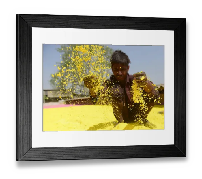 Framed Print : India-Religion-Hindu-Holi