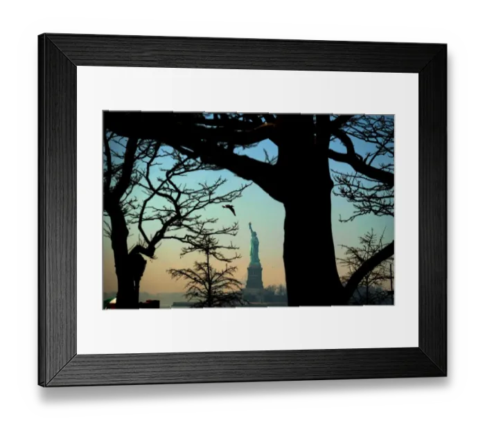 Framed Print : Us-Lifestyle-State of Liberty