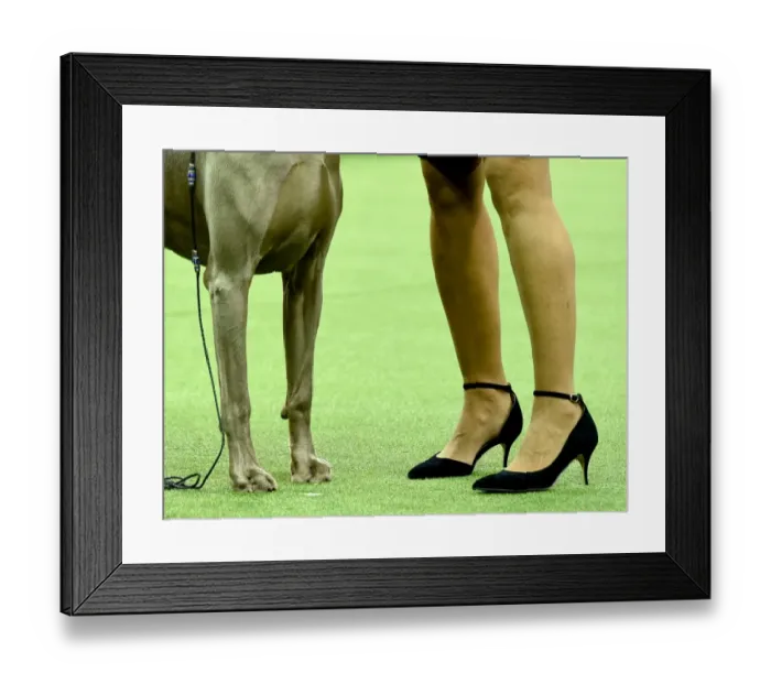 Framed Print : Us-Dogs-Offbeat