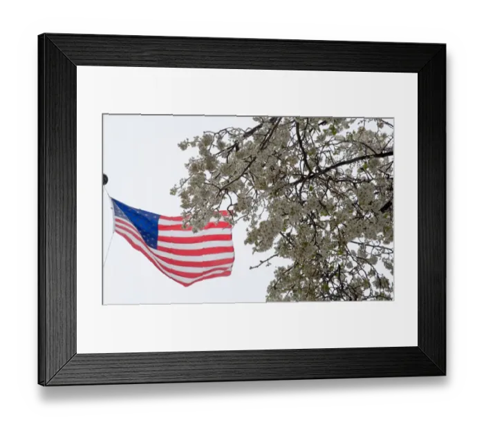 Framed Print : Us-Weather-Storm-Stella