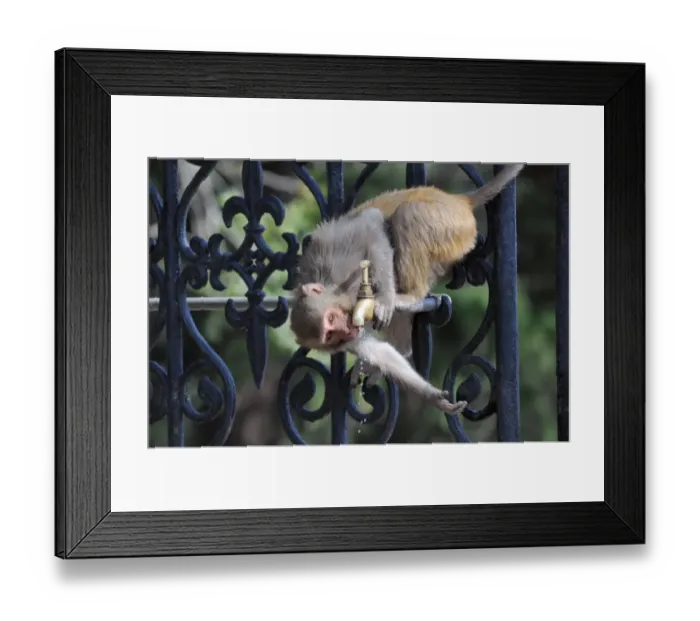 Framed Print : India-Weather-Heat Framed Print : India-Weather-Heat
