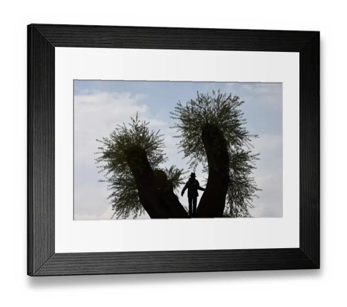 Framed Print : Germany-Bavaria-Weather