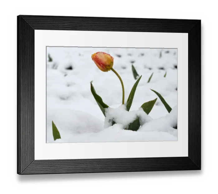 Framed Print : Germany-Weather-Bavaria