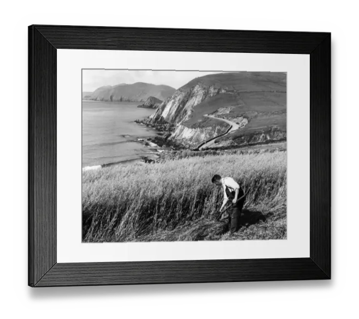Framed Print : Ireland-Feature-Agriculture