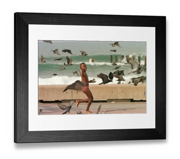 Framed Print : Safrica-Pigeons