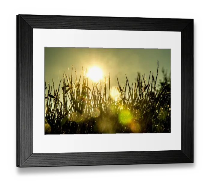 Framed Print : France-Meteo-Heat-Sun-Nature Framed Print : France-Meteo-Heat-Sun-Nature