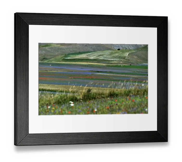 Framed Print : Italy-Feature-Castelluccio-Earthquaks