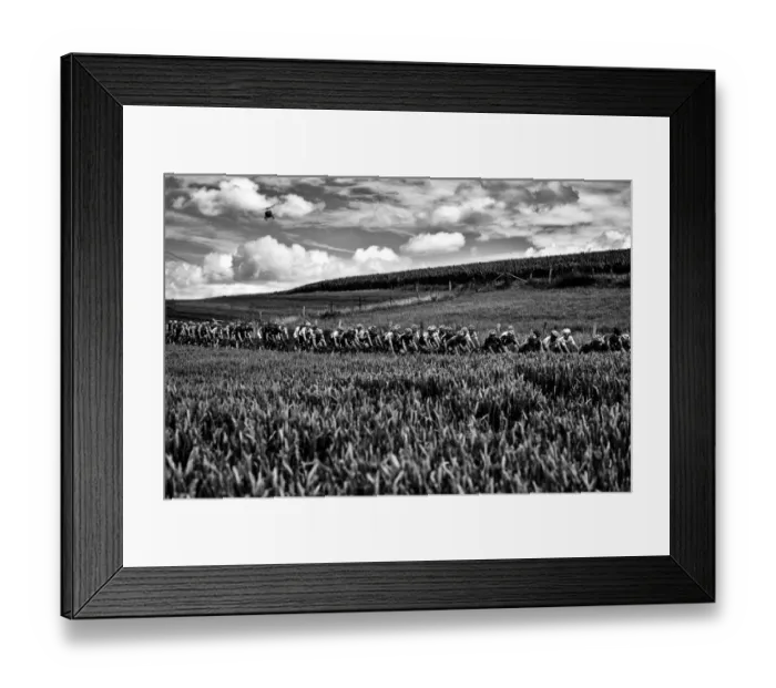 Framed Print : Cycling-Fra-Bel-Tdf2017-Pack-Postcard-Black and White