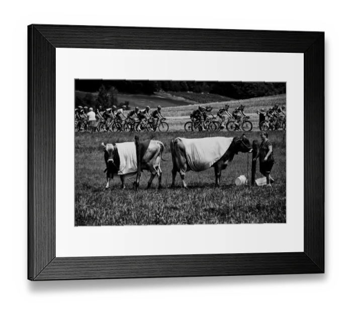 Framed Print : Cycling-Fra-Tdf2017-Pack-Postcard-Black and White Framed Print : Cycling-Fra-Tdf2017-Pack-Postcard-Black and White