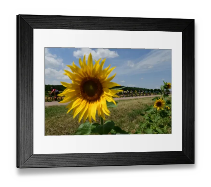 Framed Print : Cycling-Fra-Tdf2017-Pack-Postcard Framed Print : Cycling-Fra-Tdf2017-Pack-Postcard