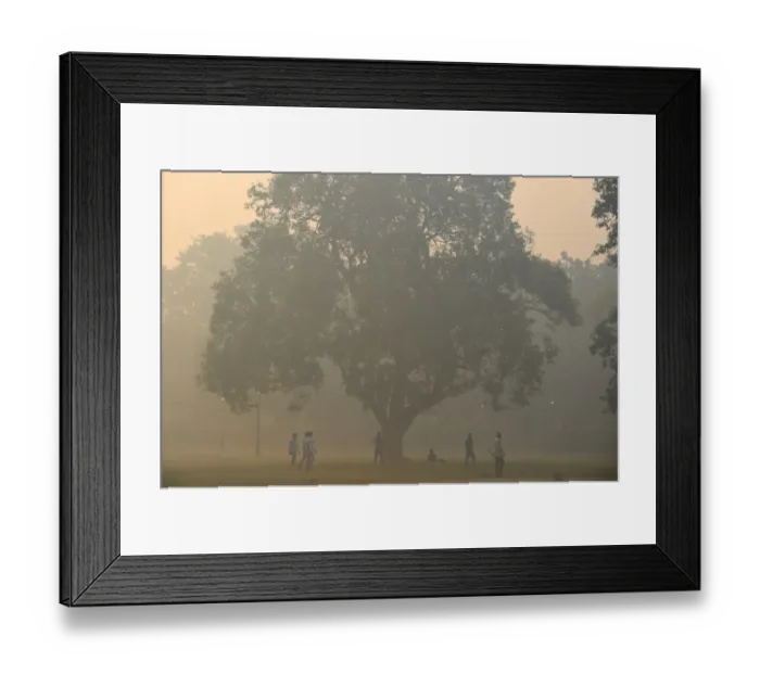 Framed Print : India - Cricket - Environment