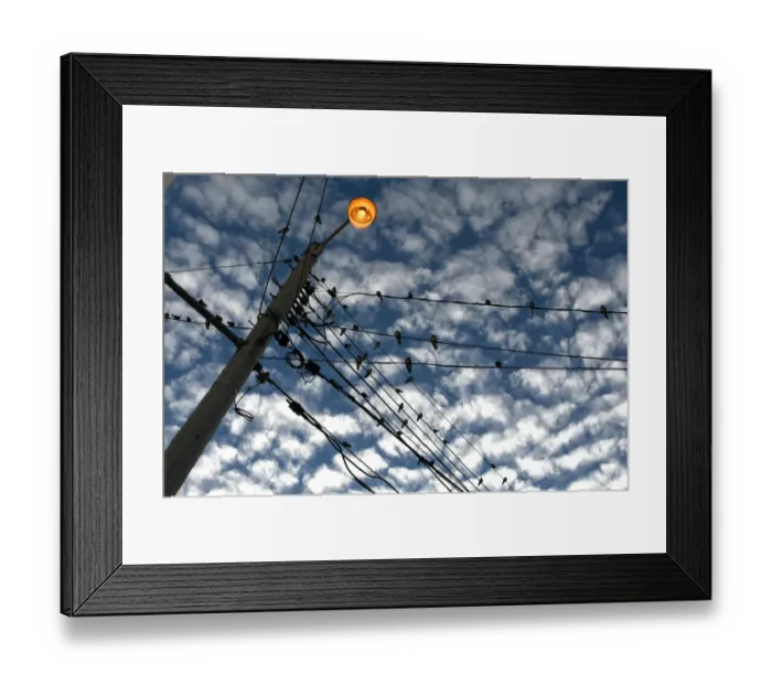 Framed Print : Honduras-Swallows-Feature