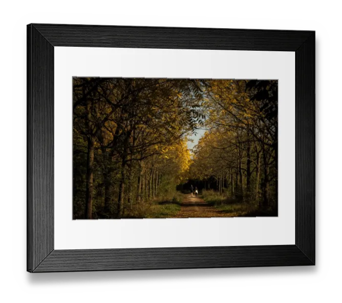 Framed Print : France-Weather-Autumn