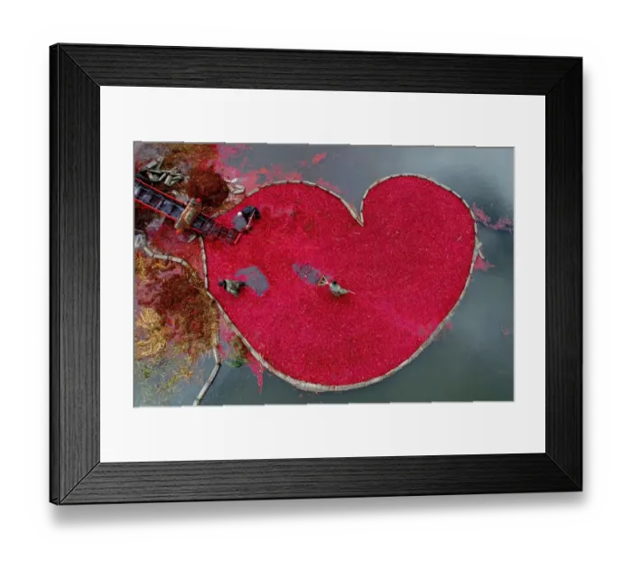 Framed Print : Belarus-Agriculture-Cranberries-Feature