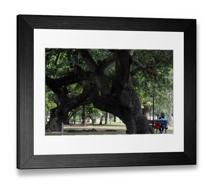 Framed Print : Sri Lanka-Theme-Love