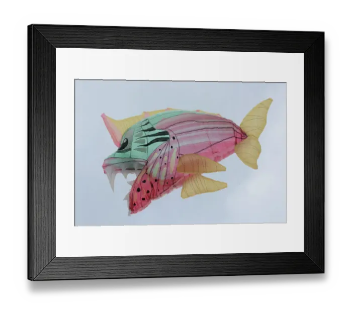 Framed Print : Colombia-New Year-Festival-Solar Balloon Framed Print : Colombia-New Year-Festival-Solar Balloon