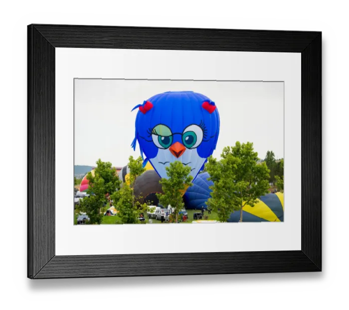 Framed Print : A bird-shape hot-air balloon raises during the 21th European Balloon Festival in Igualada