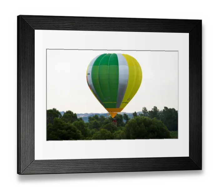Framed Print : A hot-air balloon raises amongst trees during the 21th European Balloon Festival in Igualada
