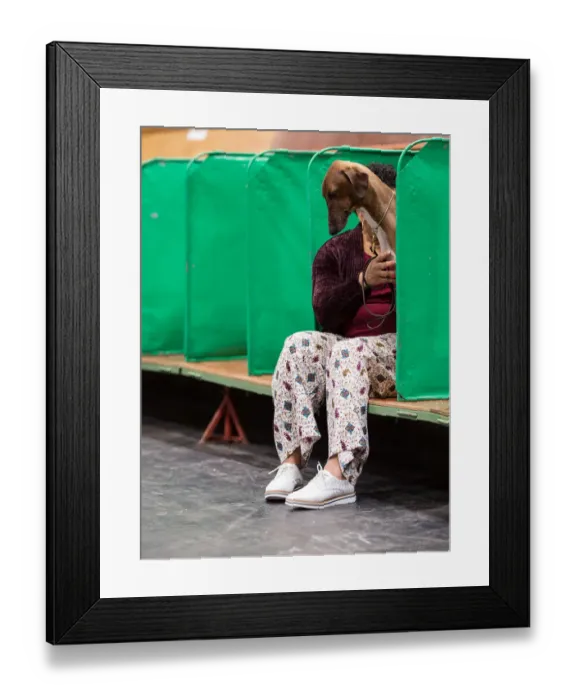 Framed Print : Britain-Animal-Dog-Crufts
