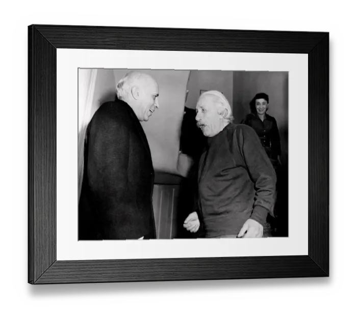 Framed Print : Bio-Einstein-Nehru