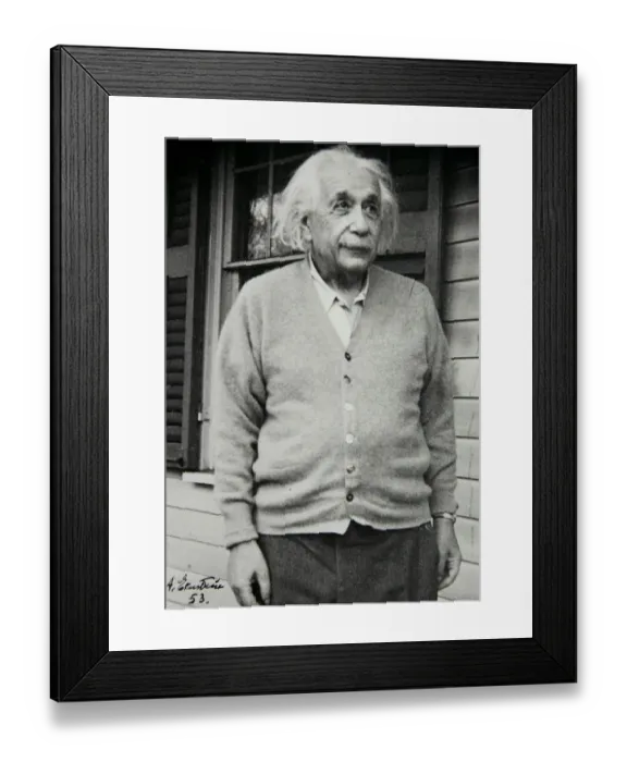 Framed Print : Japan-Lifestyle-Einstein
