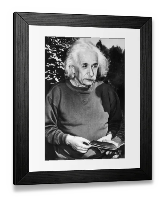 Framed Print : Bio-Einstein-Headshot Framed Print : Bio-Einstein-Headshot