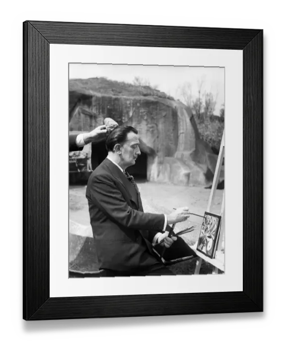 Framed Print : Dali Painting, Vincennes Zoo Framed Print : Dali Painting, Vincennes Zoo