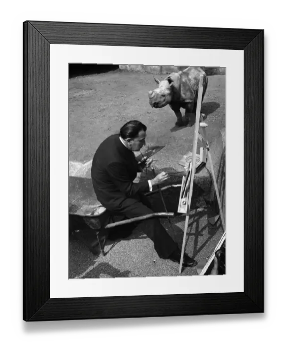 Framed Print : Salvador Dali in front of the rhinoceros, zoo of Vincennes Framed Print : Salvador Dali in front of the rhinoceros, zoo of Vincennes