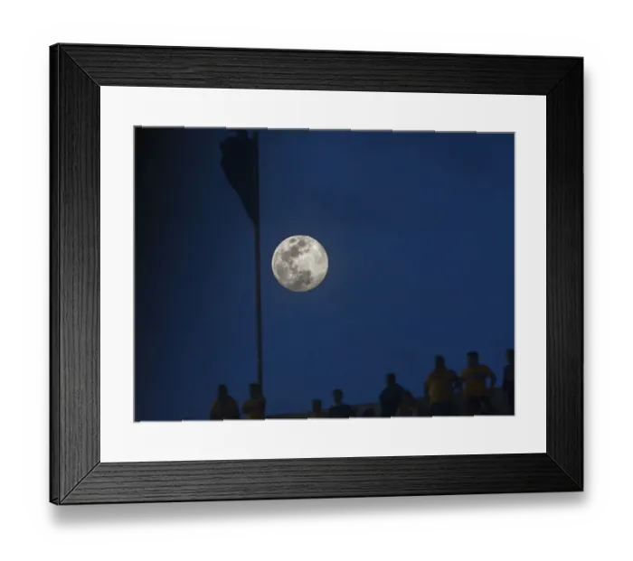 Framed Print : Fbl-Mex-Tigres-Monterrey Framed Print : Fbl-Mex-Tigres-Monterrey