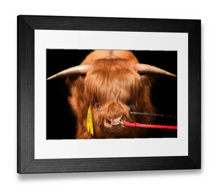 Framed Print : Britain-Scotland-Agriculture-Farming-Show