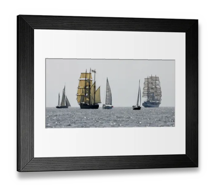 Framed Print : Lithuania - Tall - Ships - Sailing