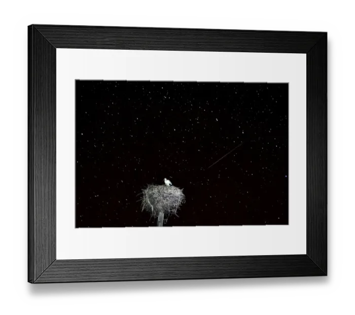 Framed Print : Belarus-Astronomy-Meteor-Perseids Framed Print : Belarus-Astronomy-Meteor-Perseids